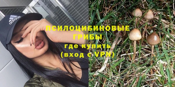 спиды Михайловка