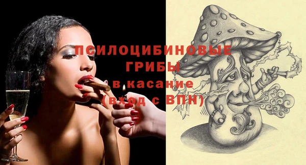 spice Протвино
