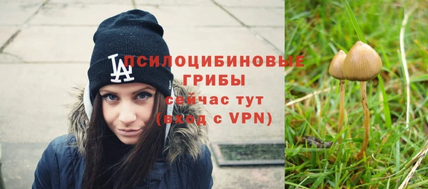 спиды Михайловка