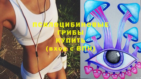 спиды Михайловка