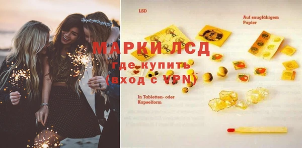 стафф Михайлов