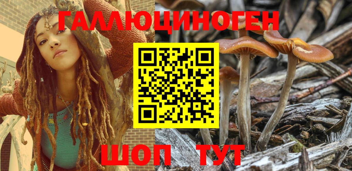 Галлюциногенные грибы Magic Shrooms Апшеронск