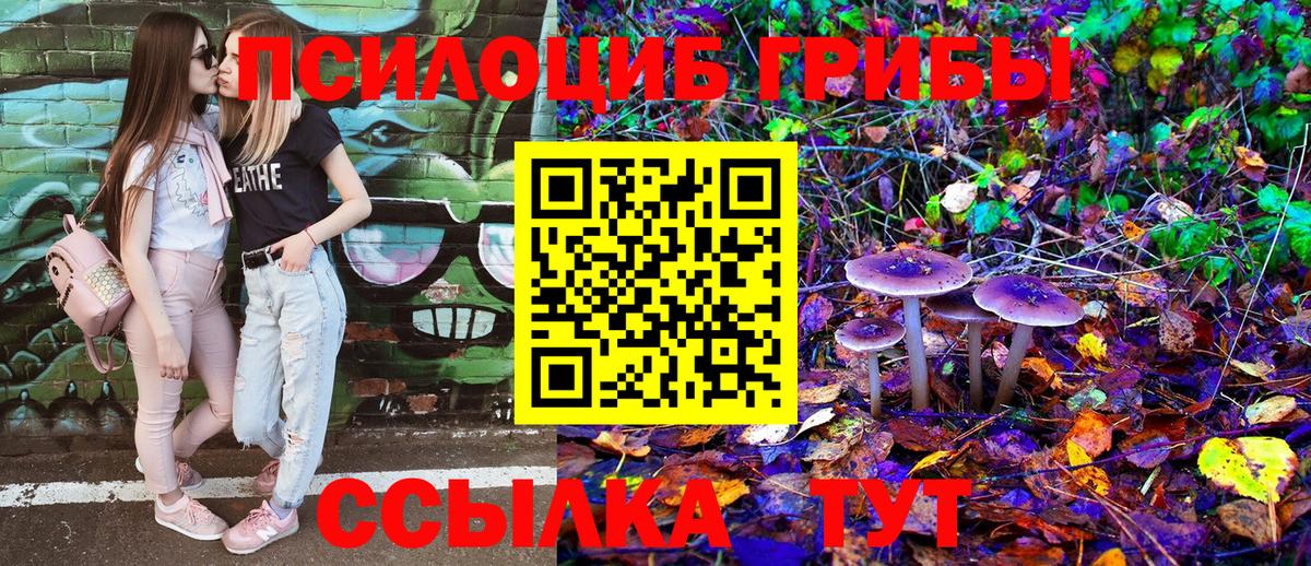 Галлюциногенные грибы GOLDEN TEACHER  Апшеронск  Галлюциногенные грибы Magic Shrooms 