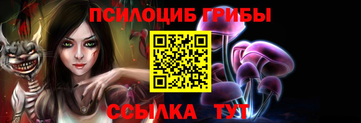 Апшеронск  Галлюциногенные грибы MAGIC MUSHROOMS  Вход с VPN 