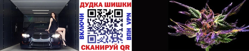 Бошки марихуана OG Kush Апшеронск